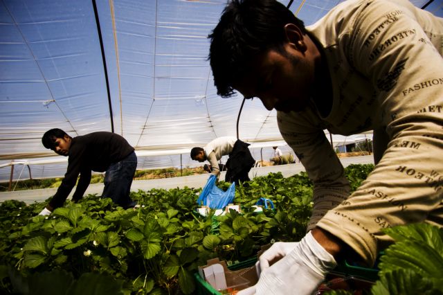 Αλλοδαποί εργάτες γης: Αγώνας για μια καλύτερη ζωή | in.gr