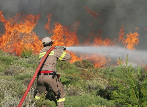 Μεγάλος ο κίνδυνος πυρκαγιάς σε πολλούς νομούς της χώρας