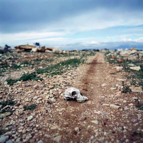 Στο Ρέθυμνο ταξιδεύει από τις 6 Σεπτεμβρίου η έκθεση φωτογραφίας «Land Ends»