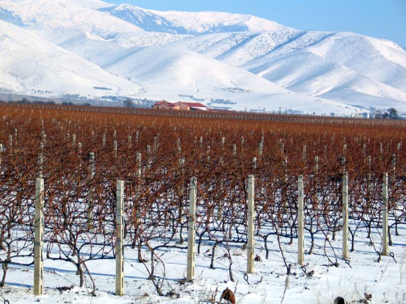 Η Διαδρομή του κρασιού των Λιμνών