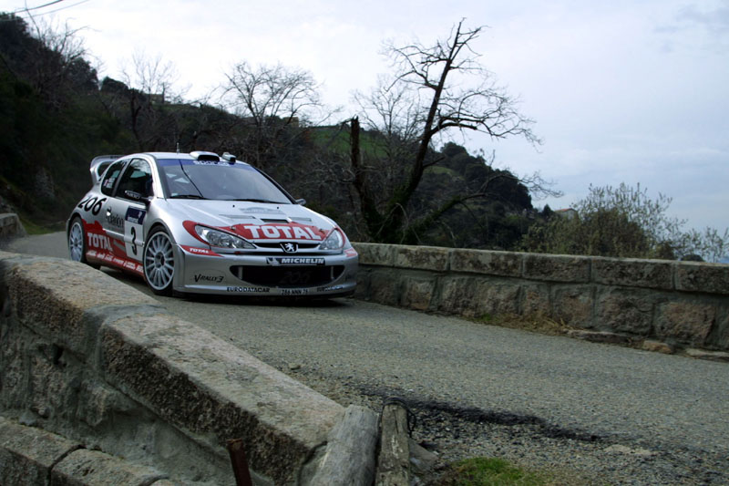 Ράλι Γαλλίας, 3ο Σκέλος, 16η ΕΔ: Νικητές οι αδελφοί Panizzi, η Peugeot στις τρεις πρώτες θέσεις