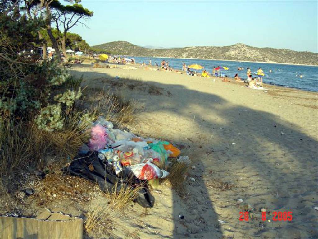 Σκουπίδια στον Σχοινιά