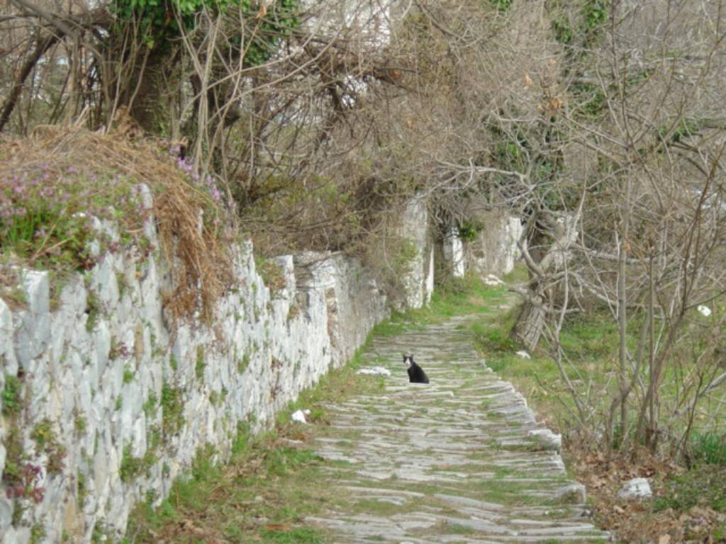 Βόλτες και μικρές Πεζοπορίες τον Απρίλιο στο Ανατολικό Πήλιο