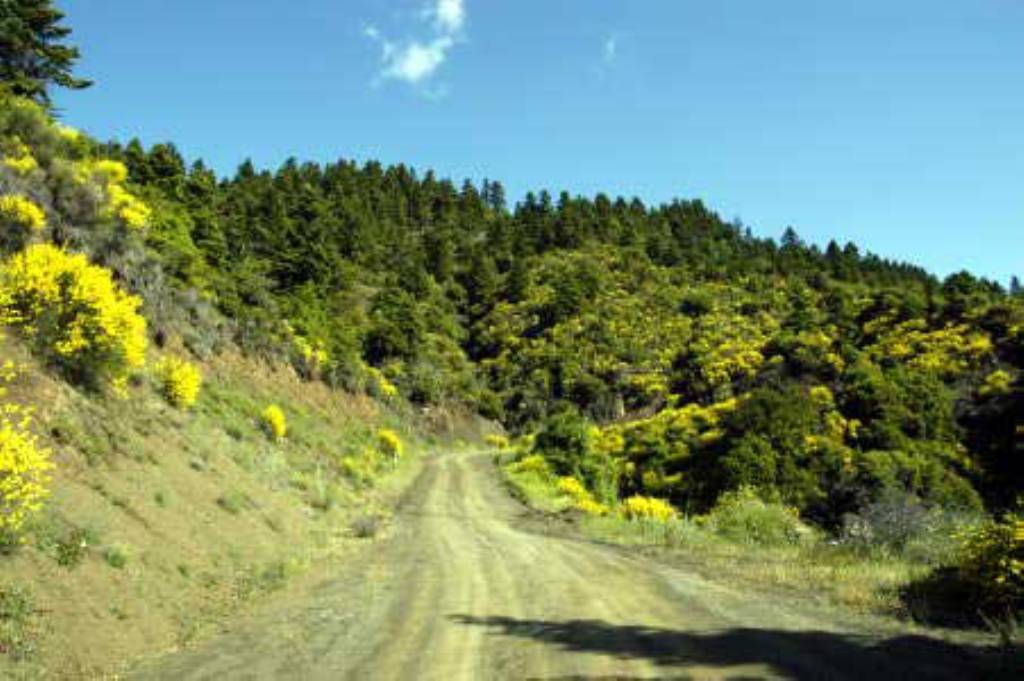 Προστατέψτε την Οίτη!