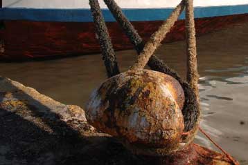 Ακινητοποιημένα τα πλοία στο λιμάνι του Πειραιά