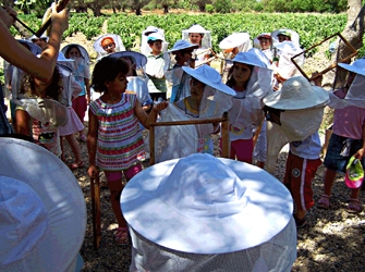 Εκπαιδευτικό πρόγραμμα »Τρύγος Μελιού» στο Πολιτιστικό Πάρκο