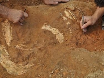 Εκδρομή του Μουσείο Γουλανδρή Φυσικής Ιστορίας στο Πικέρμι