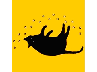 Μια γάτα που τη ‘λέγαν Billie Holiday