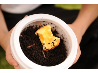 Εργαστήριο Κομποστοποίησης για Παιδιά