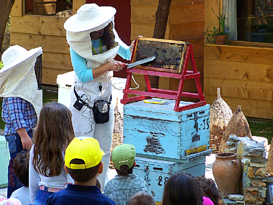 «Ένας Μελισσοκόμος, μια ανοιξιάτικη μέρα» Βιωματικές δραστηριότητες στο Πολιτιστικό Πάρκο