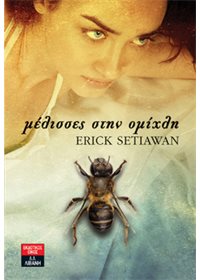 Μέλισσες στην ομίχλη