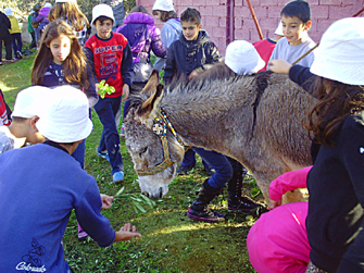 Βιωματική Δραστηριότητα με θέμα «Την Άνοιξη» Η ΔΡΑΣΤΗΡΙΟΤΗΤΑ ΑΚΥΡΩΘΗΚΕ