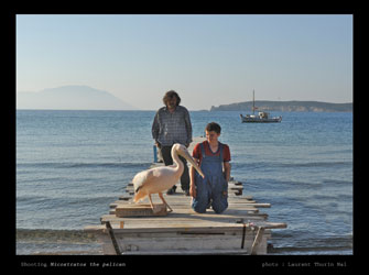 Νικόστρατος Ένα Ξεχωριστό Καλοκαίρι