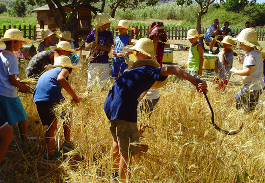 Βιωματική Εκπαιδευτική Δραστηριότητα «Τότε που οι Μύλοι ..Άλεθαν»