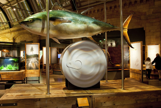 Δύο έκτακτα ολοήμερα εκπαιδευτικά προγράμματα στον «Ελληνικό Κόσμο»