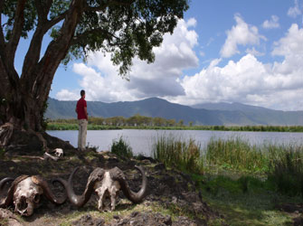 Προβολές Ντοκιμαντέρ για το Περιβάλλον