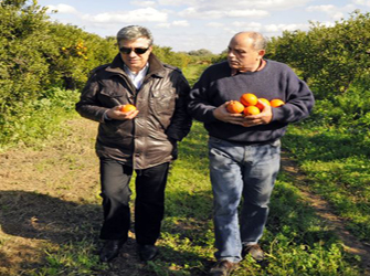 Αγρότες μετά τα Μπλόκα, στην Έρευνα!