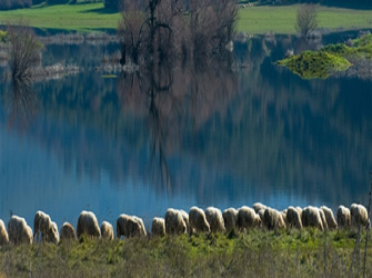 Διεθνές Συνέδριο «Αφιέρωμα στον Ποιμενικό Βίο. Πολιτιστική Κληρονομιά και Οικονομική Ανάπτυξη»
