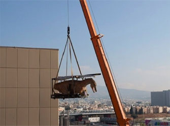 Δεινόσαυροι στην Αθήνα!