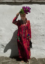 The New Plastic Road