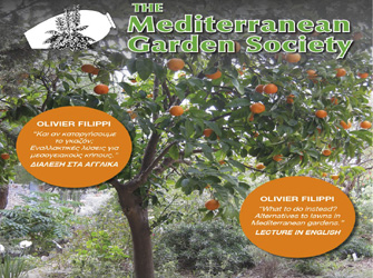 O. Filippi: «Όχι γρασίδια παρακαλώ, στη Μεσόγειο είμαστε»