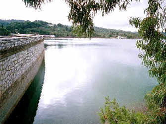 Γιορτή της Παγκόσμιας Ημέρας Περιβάλλοντος