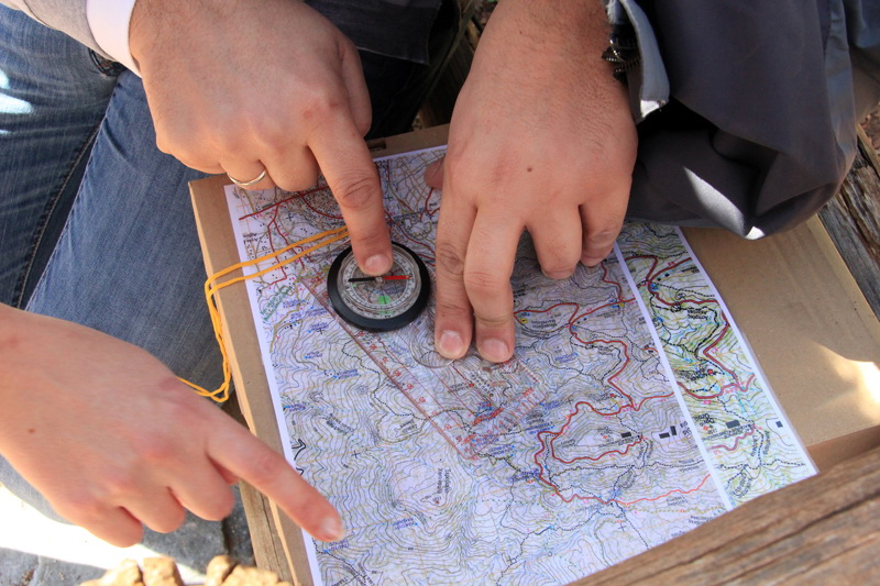 Παιχνίδι προσανατολισμού (οrienteering) στο ελατόδασος της Πάρνηθας