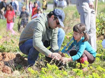 Δενδροφύτευση στην Κόρινθο