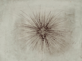 Λόλεκ «Αχινός»