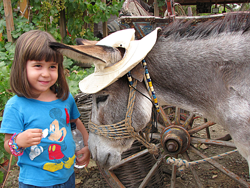 Πολιτιστικό Πάρκο: Βιωματικές δραστηριότητες με θέμα τον ερχομό της Άνοιξης και τα έθιμα του Μάρτη