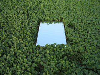 Undisclosed Recipients