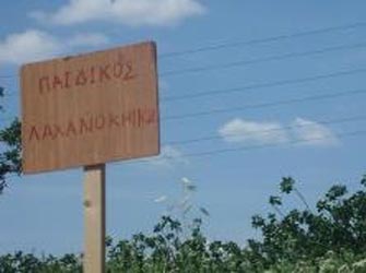 Αναζήτηση εθελοντών για το Περιβαλλοντικό Πρόγραμμα «Στο βάθος…ΚΗΠΟΣ!»