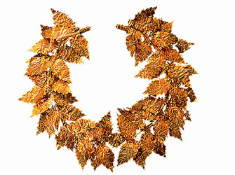 Βραβεία Κάρολος Κουν 2012