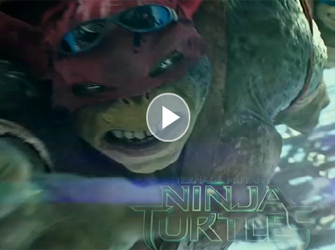 Teenage Mutant Ninja Turtles