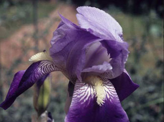 Κυριακάτικα πρωινά στο Μουσείο Φυσικής Ιστορίας