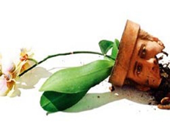 Adaptation: Μια αληθινή ιστορία με τον Νίκολας Κέιτζ, 8/6 ET3