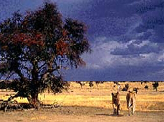 «Οι Μπαμπουίνοι» σε «Ένα Ταξίδι στη Βόρεια Αφρική», στην ΕΤ3