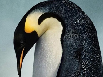 «Το Ταξίδι του Αυτοκράτορα», στη ΝΕΤ