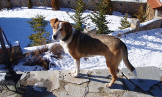 Το κείμενο του Στάθη των Ράδιο Αρβύλα για τη Σαρδέλα