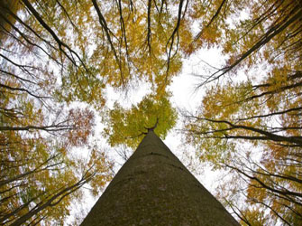 Τα 10 τραγούδια που κλείνουν το «μάτι» στο φθινόπωρο