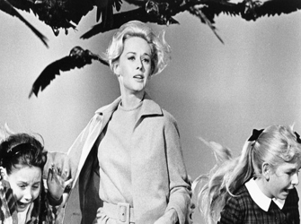 «Τα Πουλιά» 26/7 Star