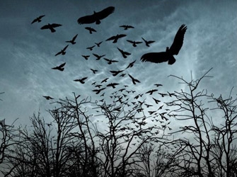 «Φτερωτός Θάνατος», 2/7 Star