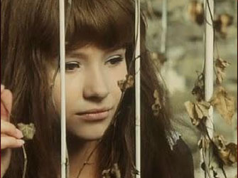 Bios, Νύχτες Σιωπής…