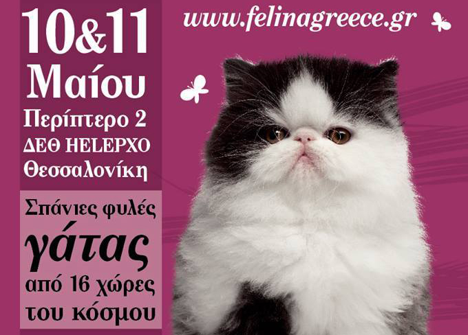 Τι κάνει νιάου νιάου… στο Λευκό Πύργο;