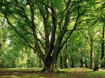 Μπες στο Κλίμα