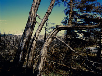 Η PhotoBiennale στην Κέρκυρα