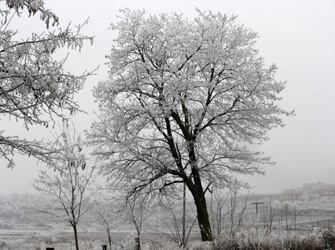 Αποσπάσματα από τον «Έρωτα στα Χιόνια» του Αλ. Παπαδιαμάντη