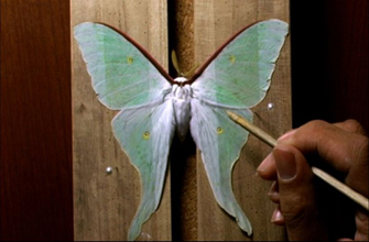 «Beetle Queen Conquers Tokyo» από το Exile Room