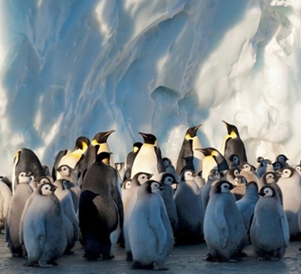 Πρόγραμμα ΣΚΑΙ 2012-13