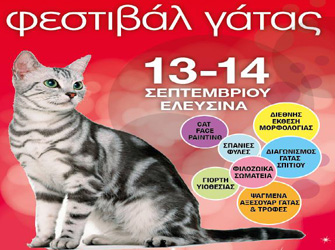 Οι γάτες δίνουν ραντεβού στην Ελευσίνα